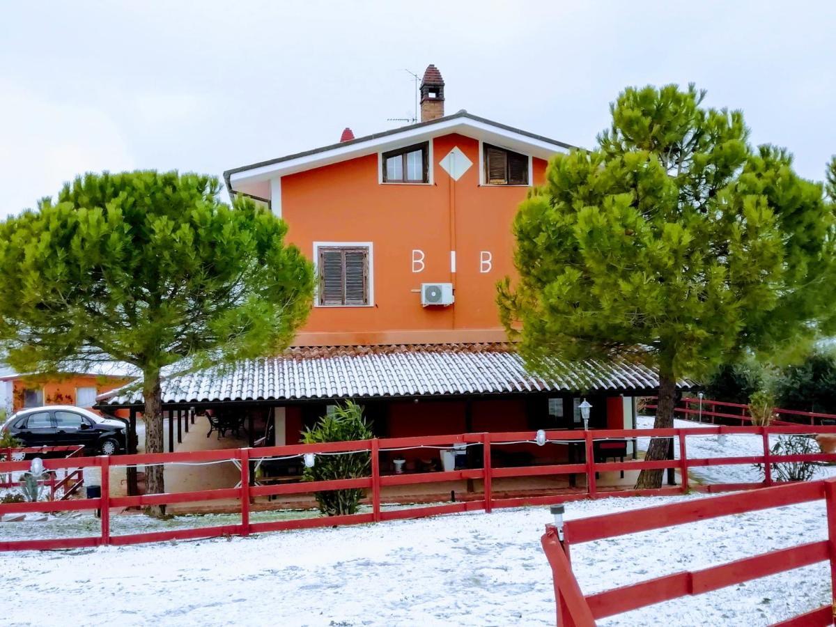 B&B Gli Amici Del Tubarello Roseto degli Abruzzi Kültér fotó