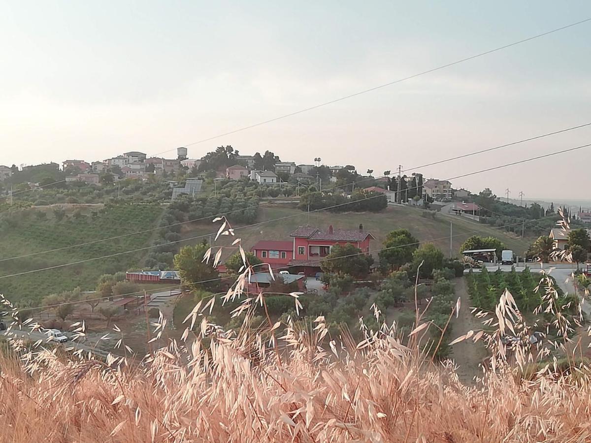 B&B Gli Amici Del Tubarello Roseto degli Abruzzi Kültér fotó