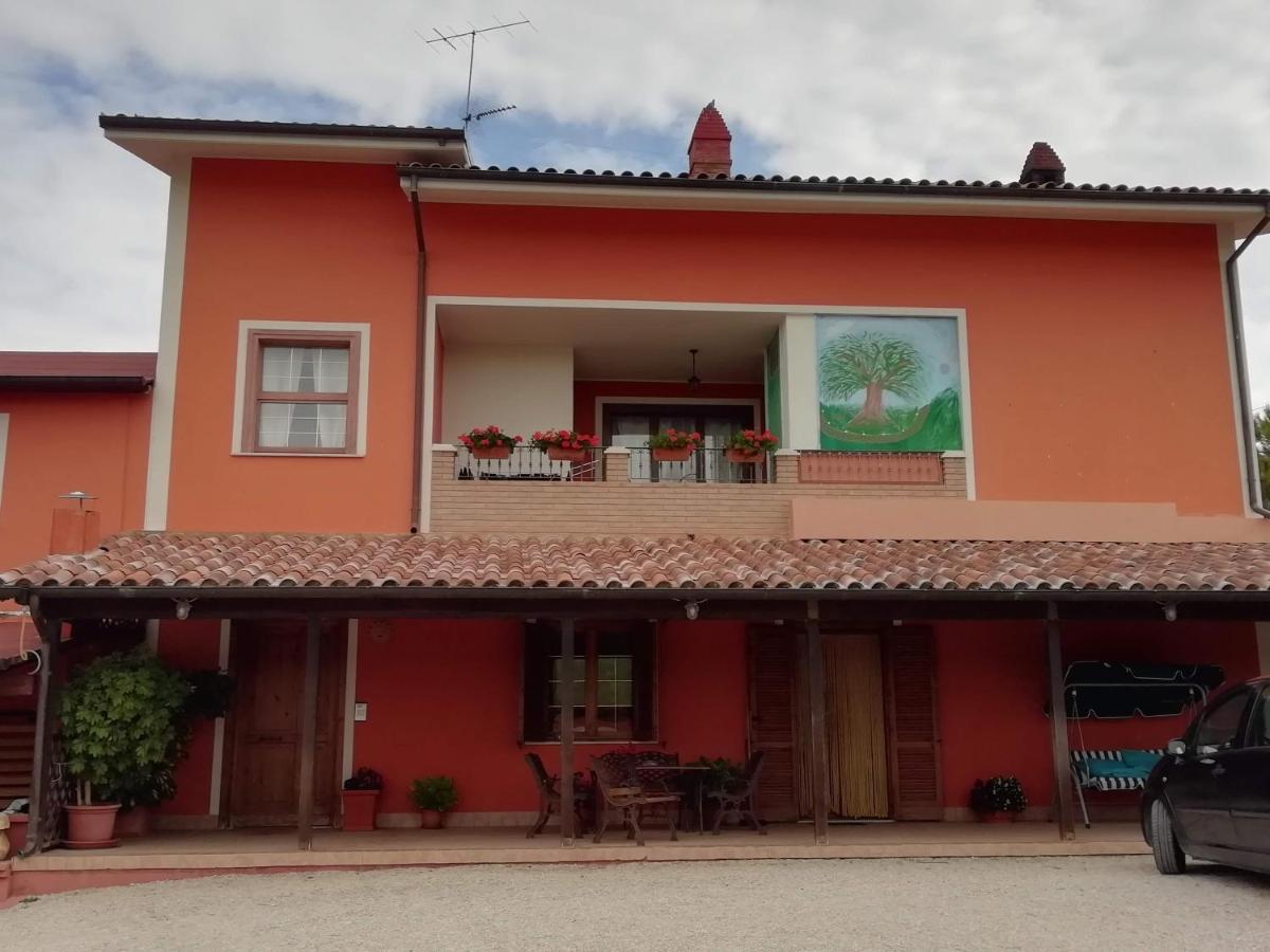 B&B Gli Amici Del Tubarello Roseto degli Abruzzi Kültér fotó