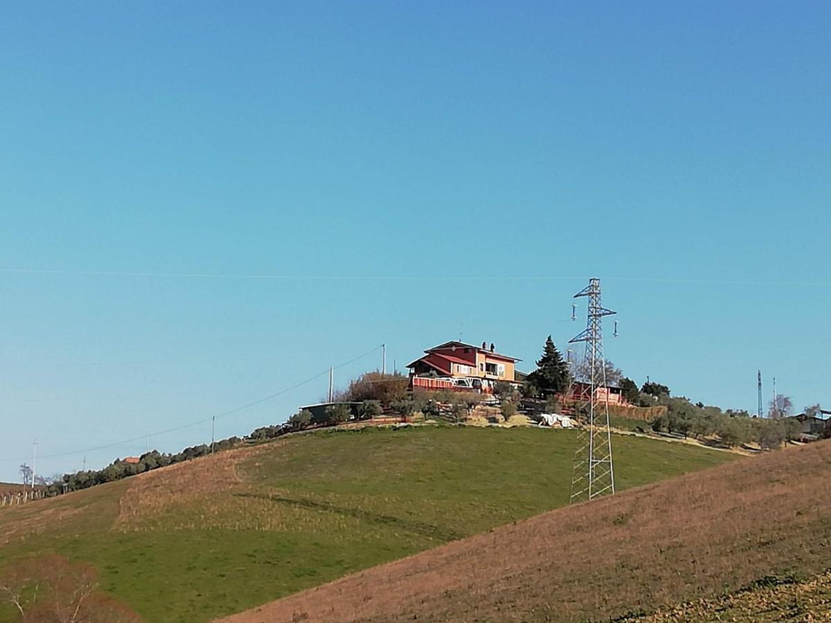 B&B Gli Amici Del Tubarello Roseto degli Abruzzi Kültér fotó