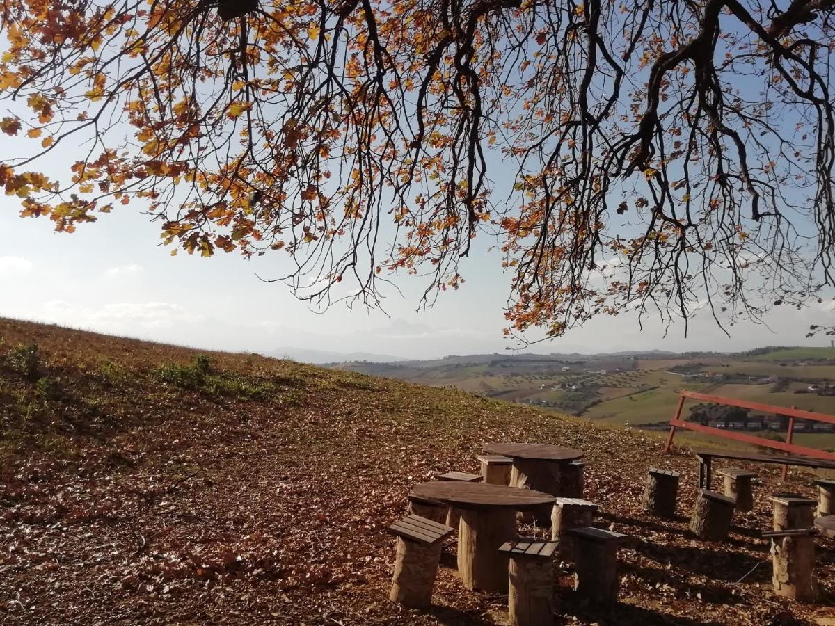 B&B Gli Amici Del Tubarello Roseto degli Abruzzi Kültér fotó