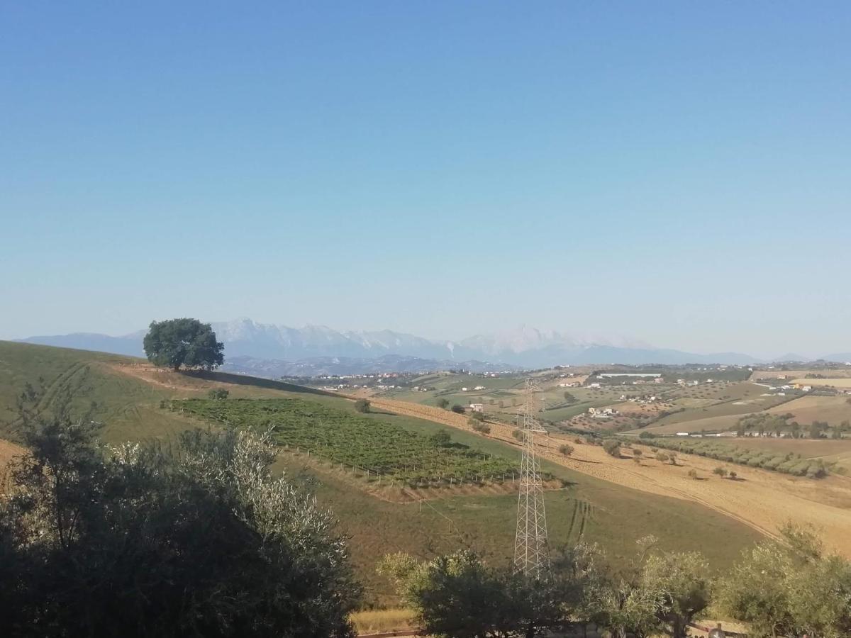 B&B Gli Amici Del Tubarello Roseto degli Abruzzi Kültér fotó