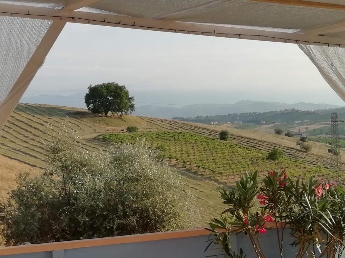 B&B Gli Amici Del Tubarello Roseto degli Abruzzi Kültér fotó