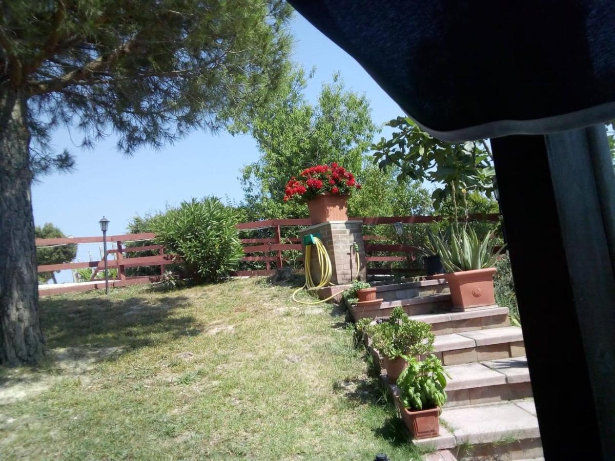 B&B Gli Amici Del Tubarello Roseto degli Abruzzi Kültér fotó
