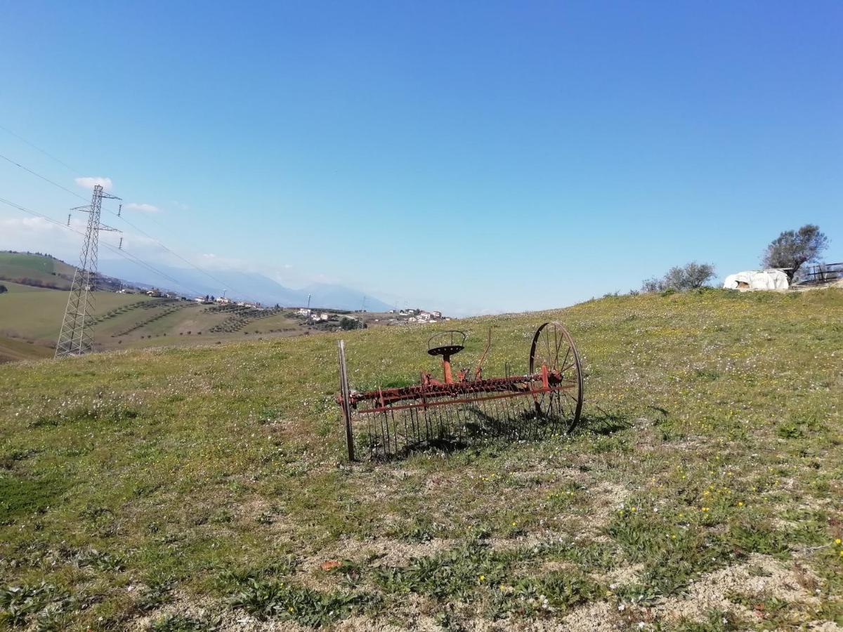 B&B Gli Amici Del Tubarello Roseto degli Abruzzi Kültér fotó