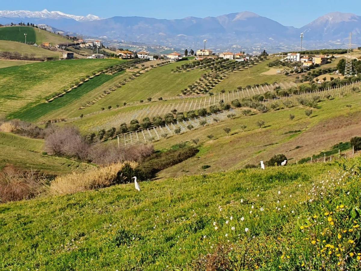 B&B Gli Amici Del Tubarello Roseto degli Abruzzi Kültér fotó