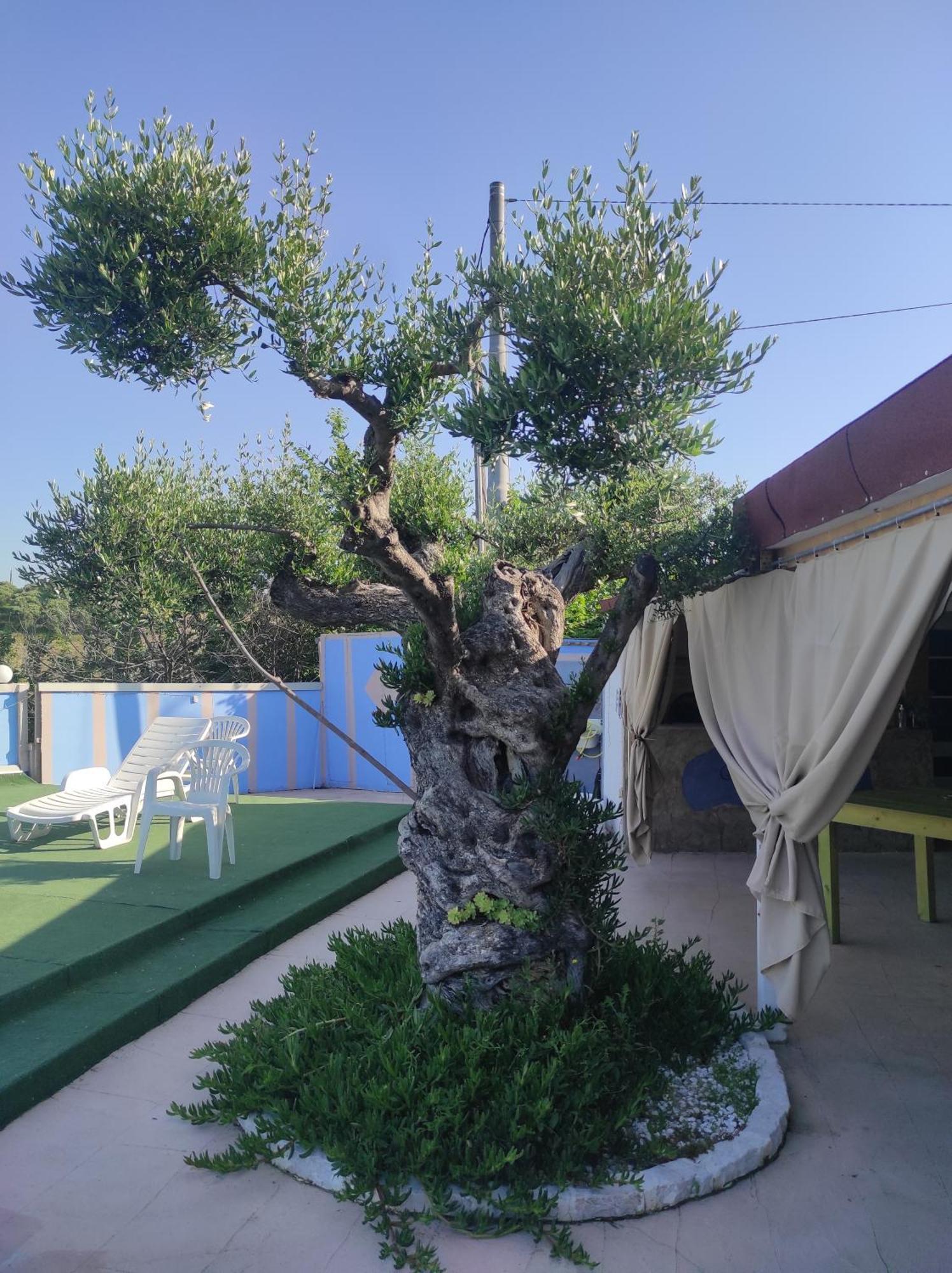 B&B Gli Amici Del Tubarello Roseto degli Abruzzi Kültér fotó