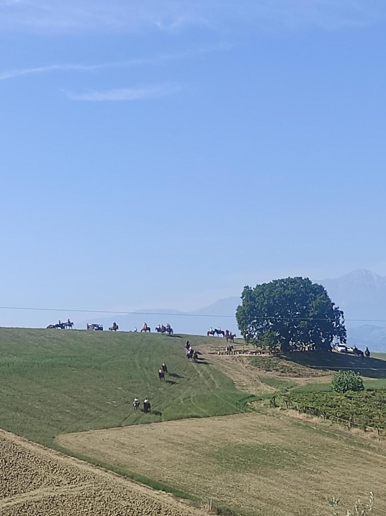 B&B Gli Amici Del Tubarello Roseto degli Abruzzi Kültér fotó
