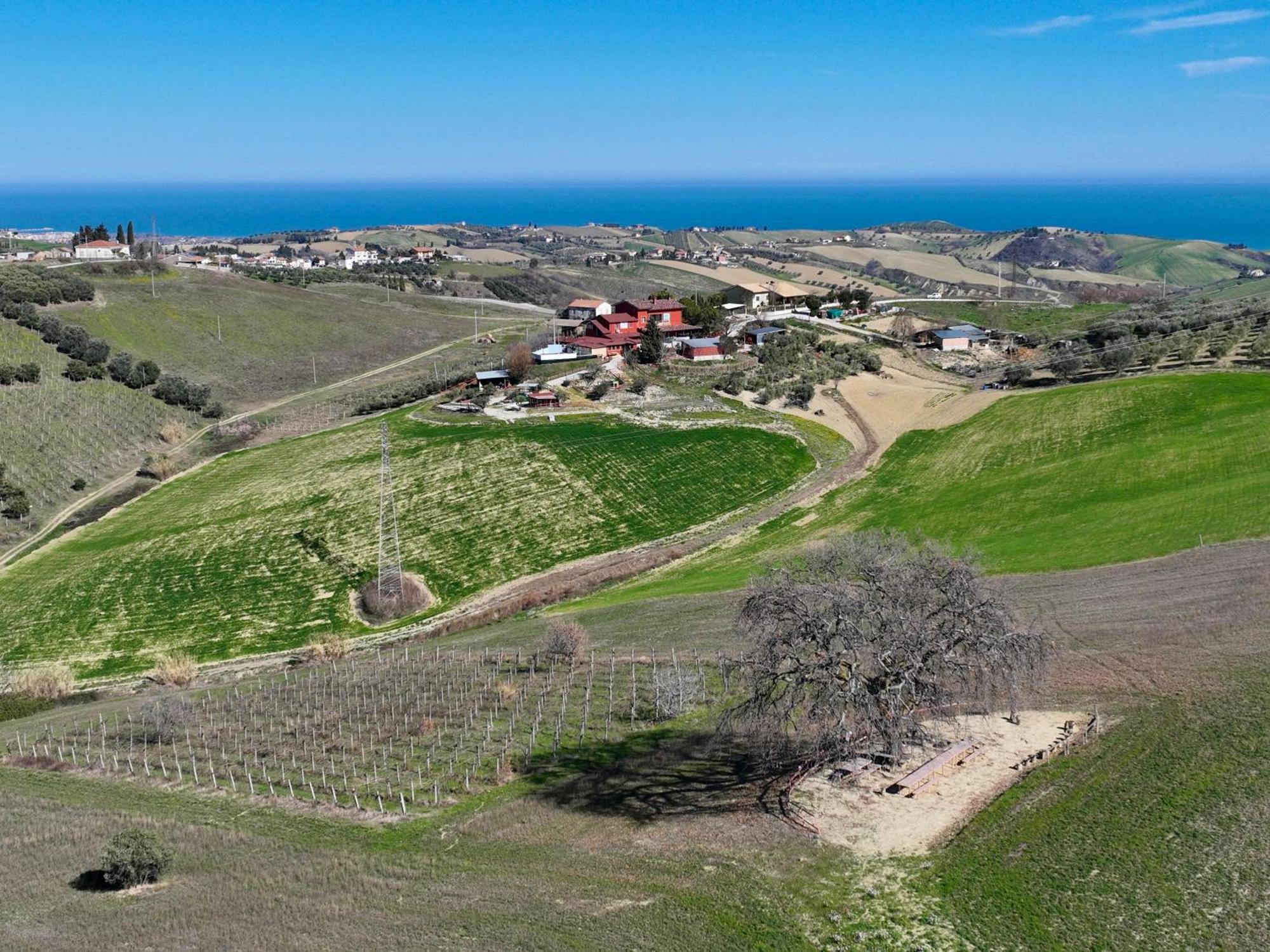 B&B Gli Amici Del Tubarello Roseto degli Abruzzi Kültér fotó