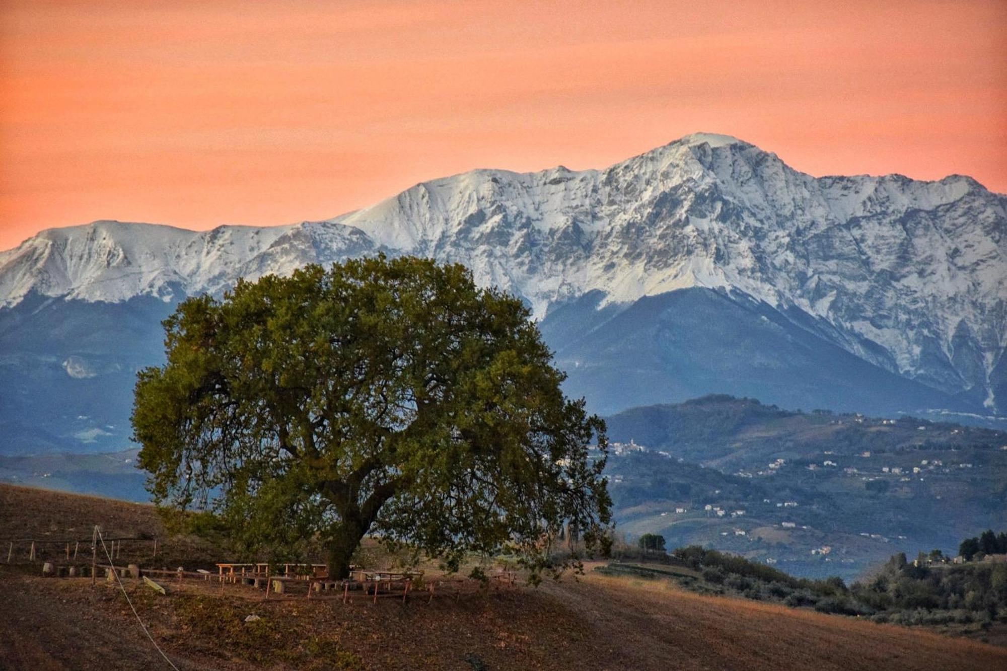 B&B Gli Amici Del Tubarello Roseto degli Abruzzi Kültér fotó