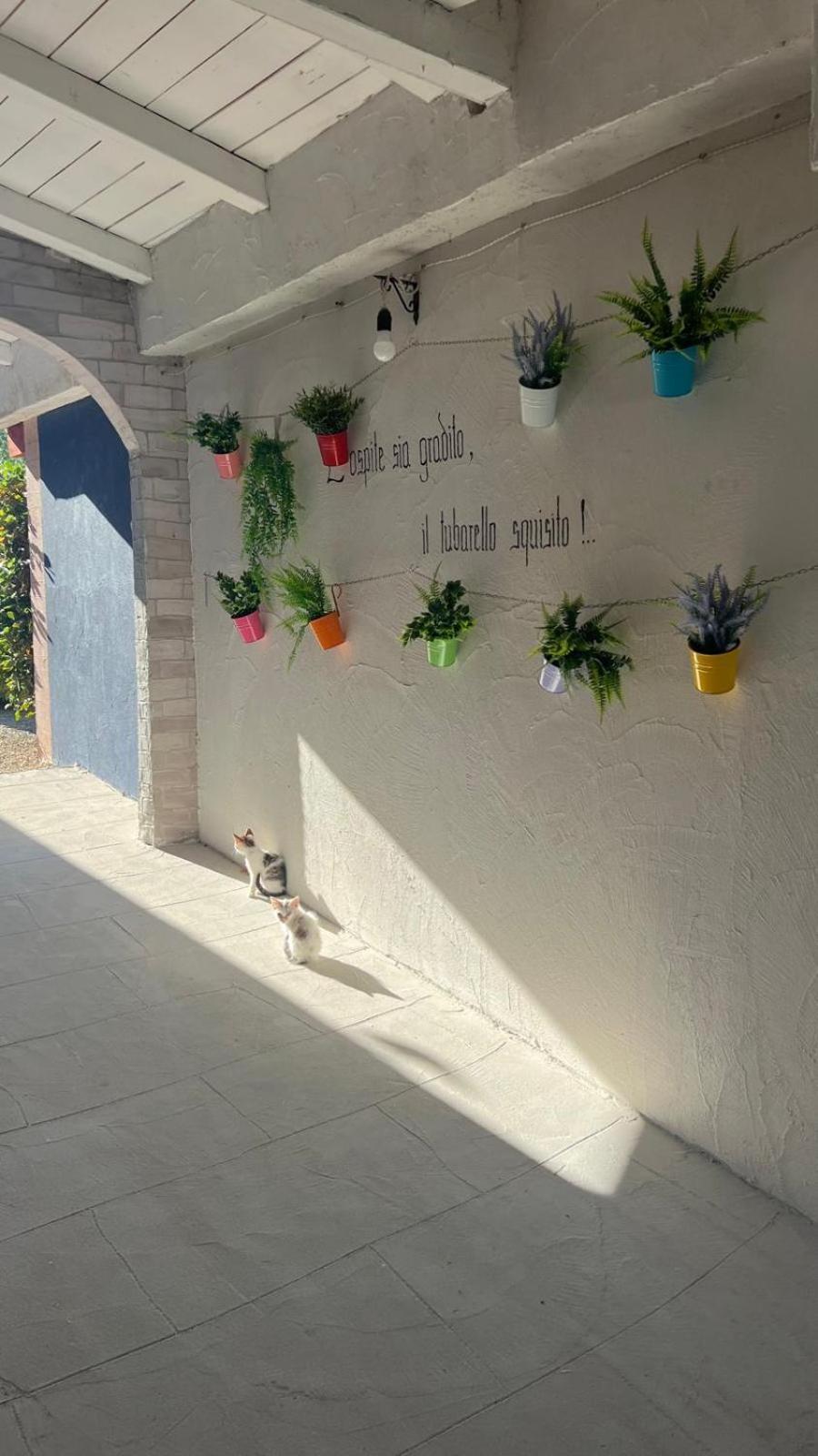 B&B Gli Amici Del Tubarello Roseto degli Abruzzi Kültér fotó